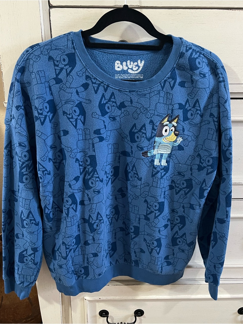 Women’s Bluey Sweatshirt